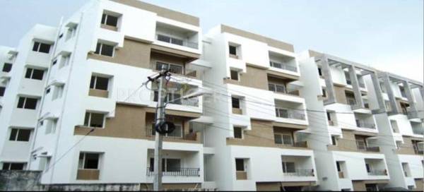  falcon Images for Elevation of Super Falcon