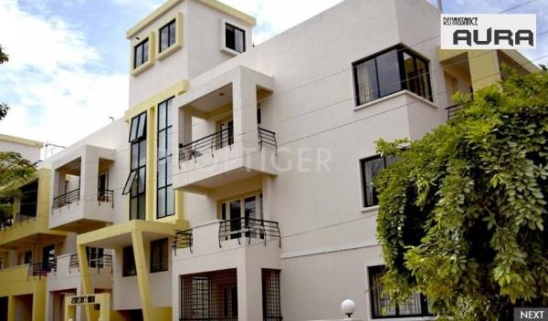 Images for Elevation of Renaissance Aura