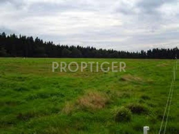 Jemi Housing Ltd Jemi Narayana Nagar Plot Jemi Housing Ltd Jemi Narayana Nagar Plot