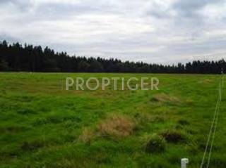 Project Image Project Image