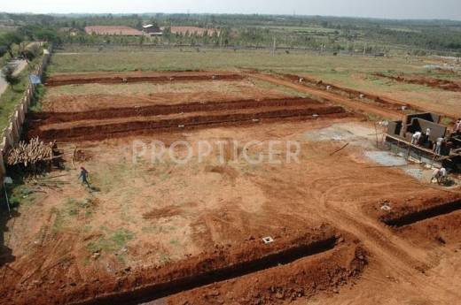 Images for Elevation of Divine developers Divine Chavaragram