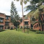  orchard Images for Elevation of Good Orchard