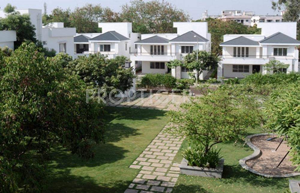 Images for Elevation of Manbhum Bougainville