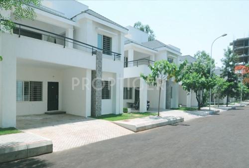 Images for Elevation of Manbhum Bougainville