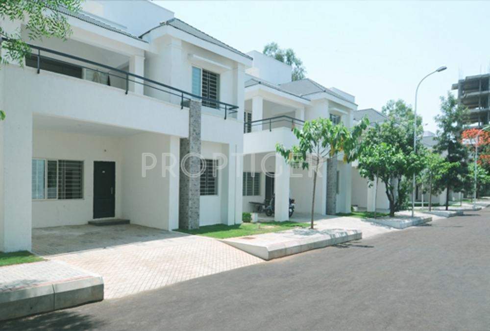 Images for Elevation of Manbhum Bougainville