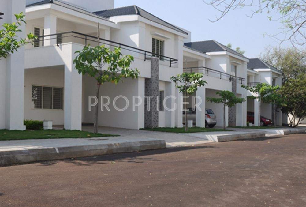 Images for Elevation of Manbhum Bougainville