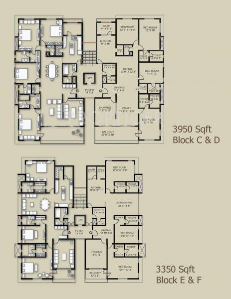 Images for Cluster Plan of Environ Builders And Developers Ariana