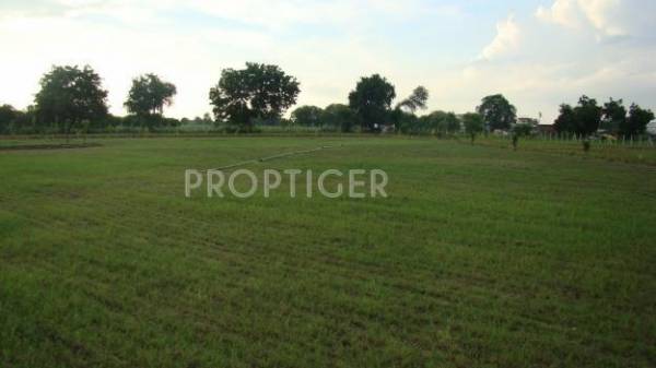 IVR Prime Urban Prime Woods IVR Prime Urban Prime Woods