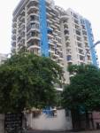Gardenia Group Grace  grace Gardenia Group Grace