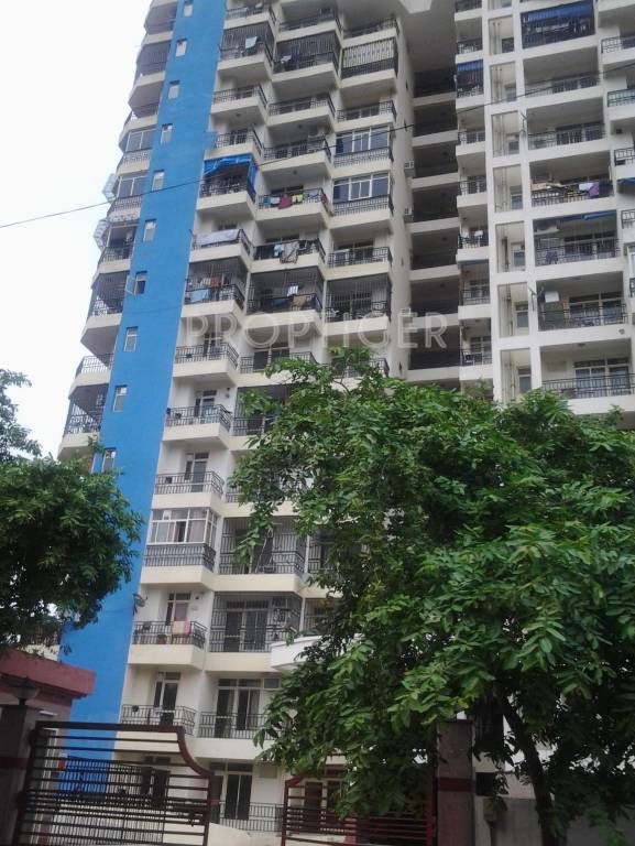  grace Gardenia Group Grace