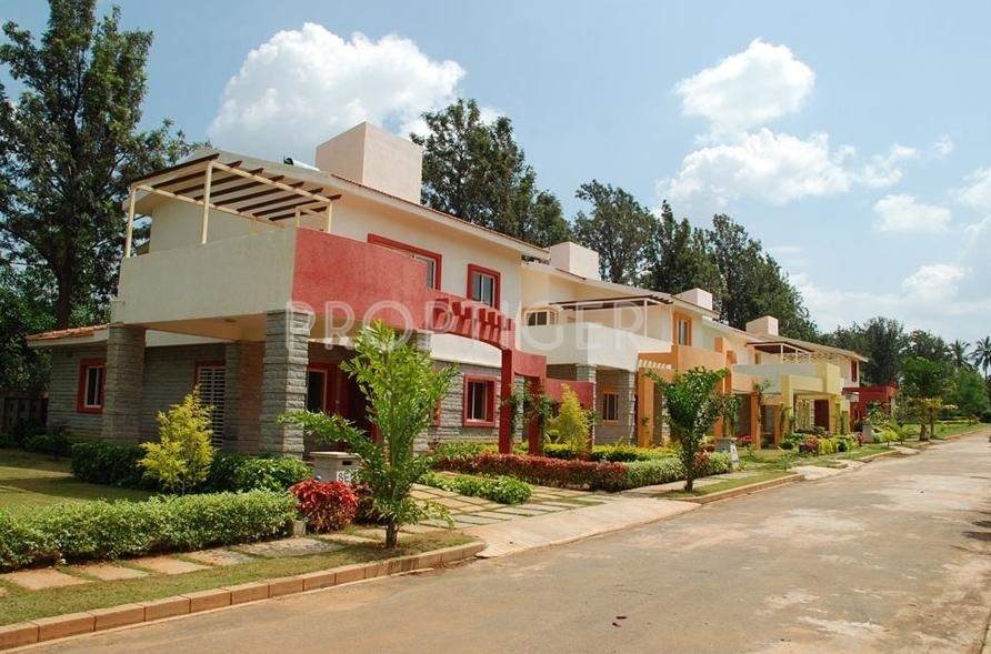 Images for Elevation of Benchmark Property Benchmark Sunshine