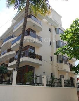 Images for Elevation of Gold Orchid