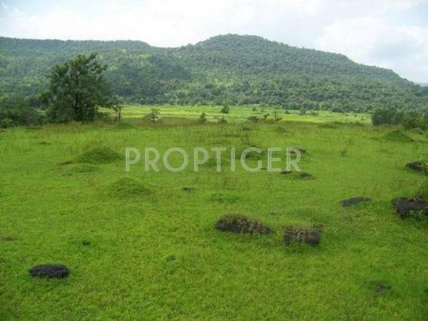 Images for Elevation of Veracity Emerald Valley Images for Elevation of Veracity Emerald Valley