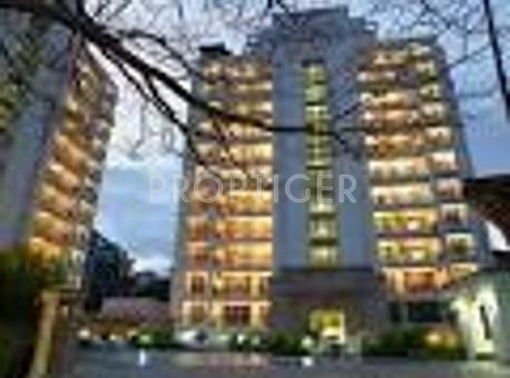 Images for Elevation of Prestige Exotica