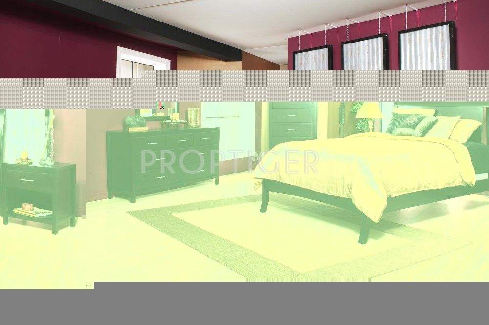 Images for Elevation of Ashoka Developers And Builders Ornata