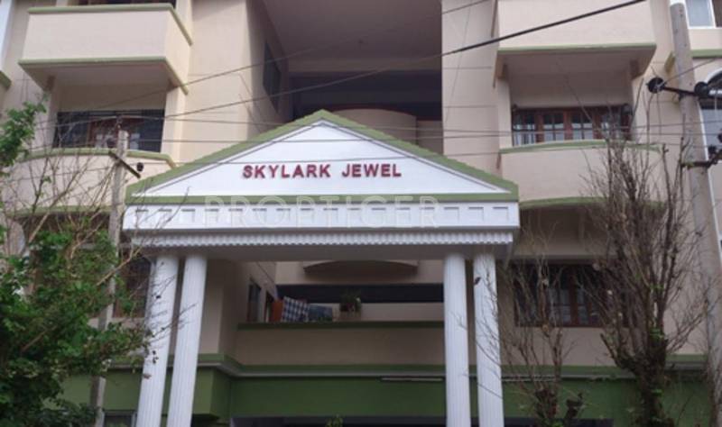  jewel Images for Elevation of Skylark Group Jewel