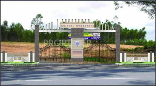 Images for Elevation of Kristal Morganite Images for Elevation of Kristal Morganite