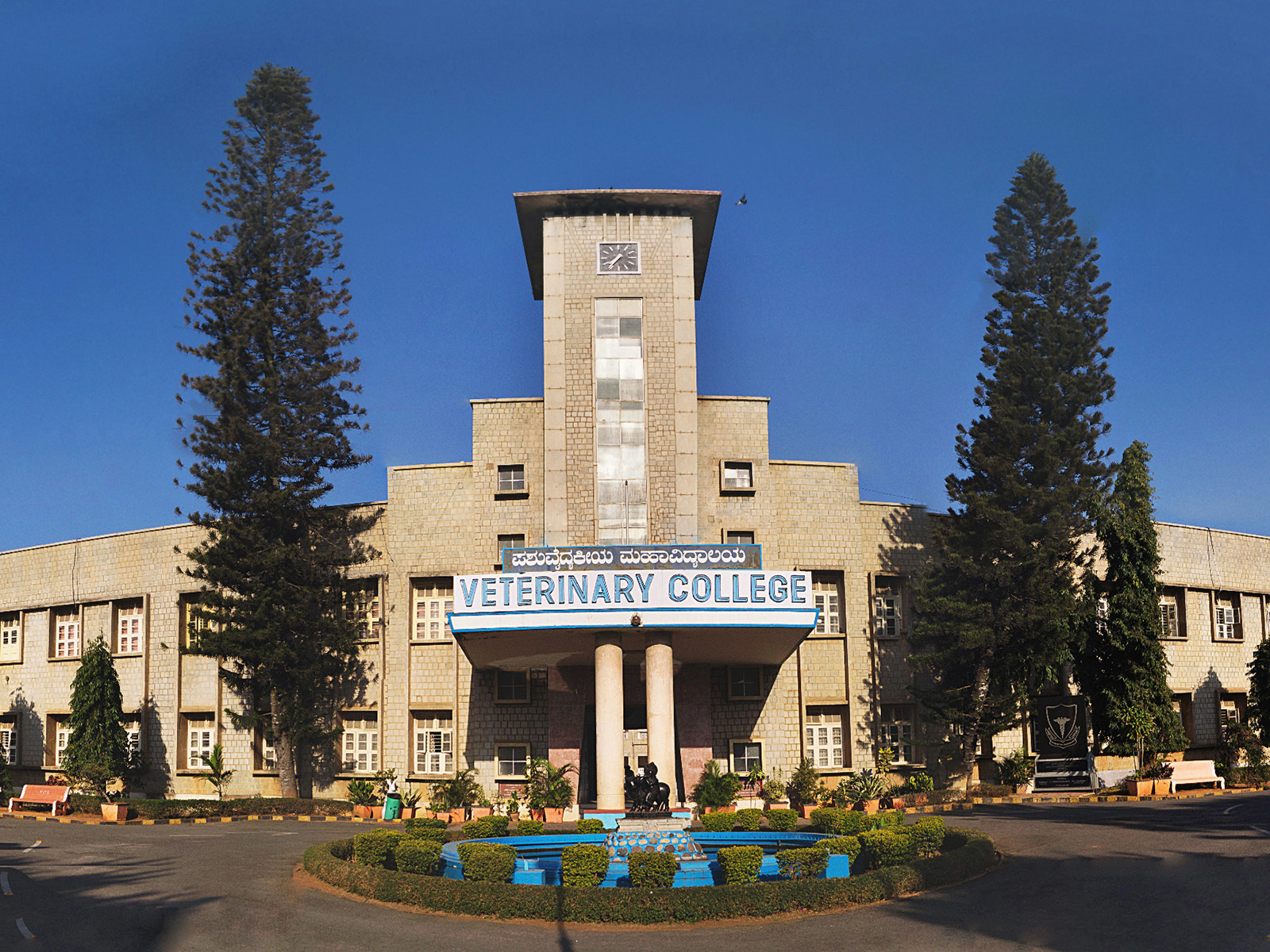 Higher Education-Veterinary College