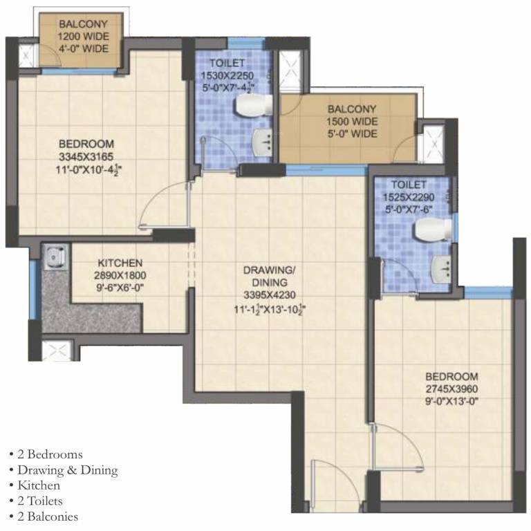 dummy Shri Celebration Residency