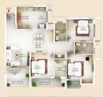  olympia Floor Plan Floor Plan