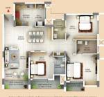  olympia Floor Plan Floor Plan