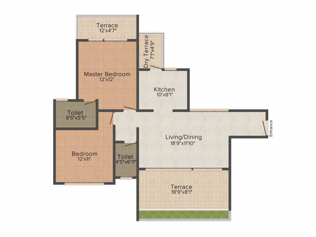 Orchid Orchid 10 Orchid