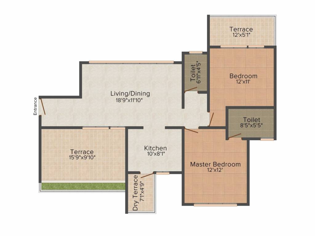 Orchid Orchid 10 Orchid