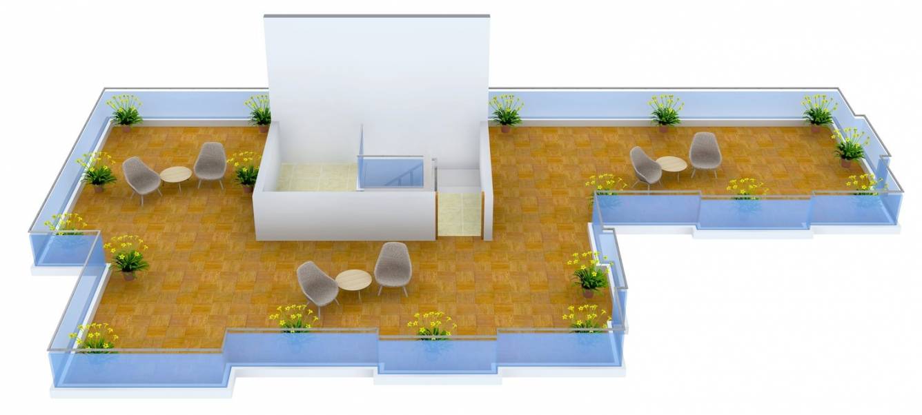 Alliance Asia Alliance Anand