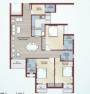  orchard-county-tulip-and-carnation Floor Plan Floor Plan