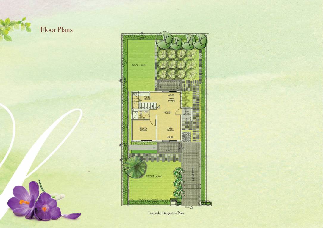 Floor Plan  gardenia Floor Plan Floor Plan