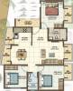  snow-drop Floor Plan Floor Plan