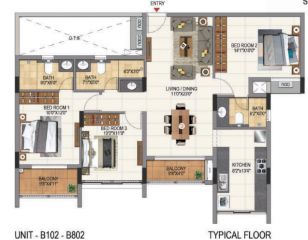  aquene Floor Plan Floor Plan