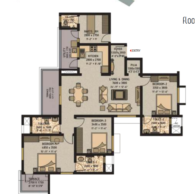  ivory Floor Plan Floor Plan