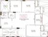  shoolin-exotica Floor Plan Floor Plan