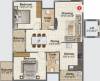 lotus Floor Plan Floor Plan
