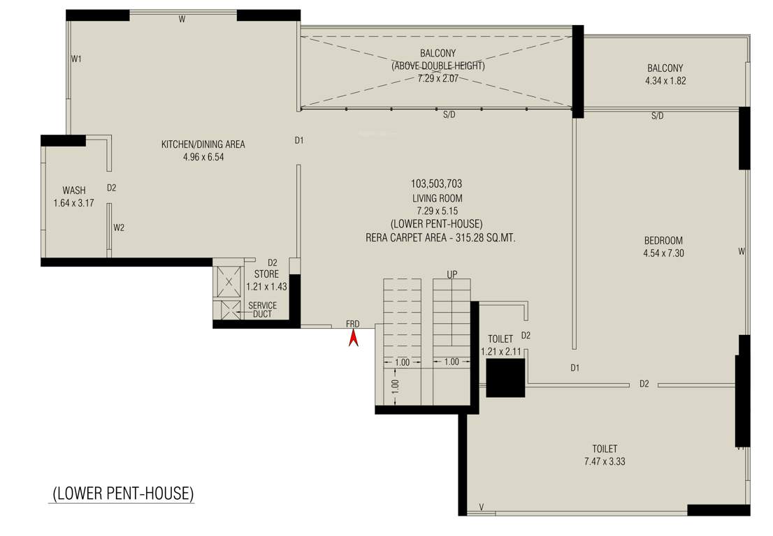  aaryan aayam Floor Plan Lower Level Penthouse Plan
