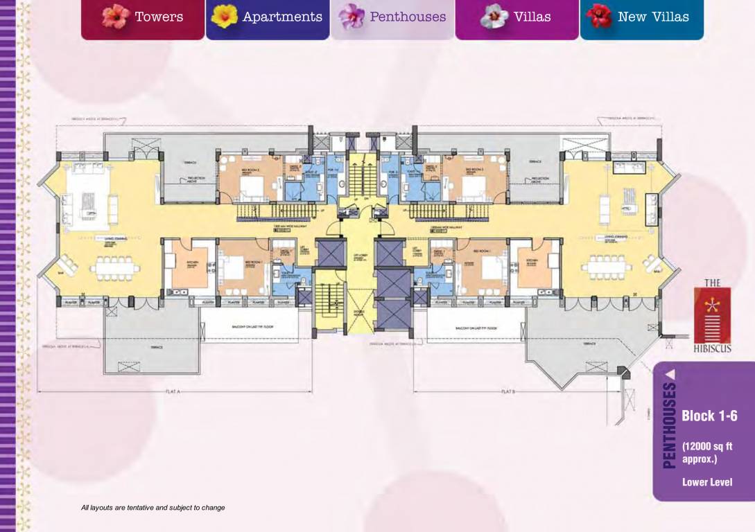 the hibiscus Floor Plan Lower Level Penthouse Plan