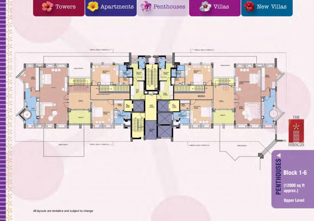 the hibiscus Floor Plan Upper Level Penthouse Plan