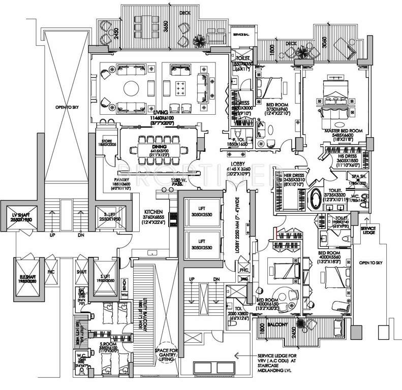 DLF Camellias (4BHK+5T (7,196 sq ft) + Servant Room 7196 sq ft)