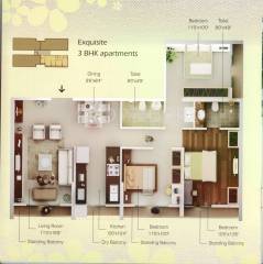 Thakkers Eva Luxuria (3BHK+3T (1,275 sq ft) 1275 sq ft)
