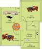 Sathyam property Srivari Floor Plan (2BHK+1T (780 sq ft) 780 sq ft)