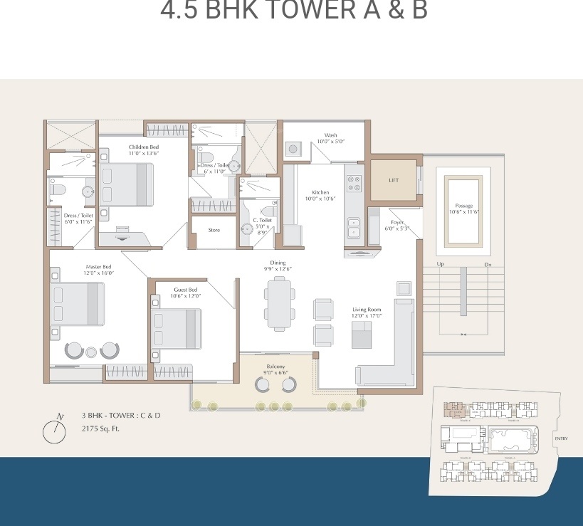 Nilamber Bellissimo II