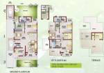 Ansal Daffodil Bloom (3BHK+4T (3,894 sq ft) + Study Room 3894 sq ft)