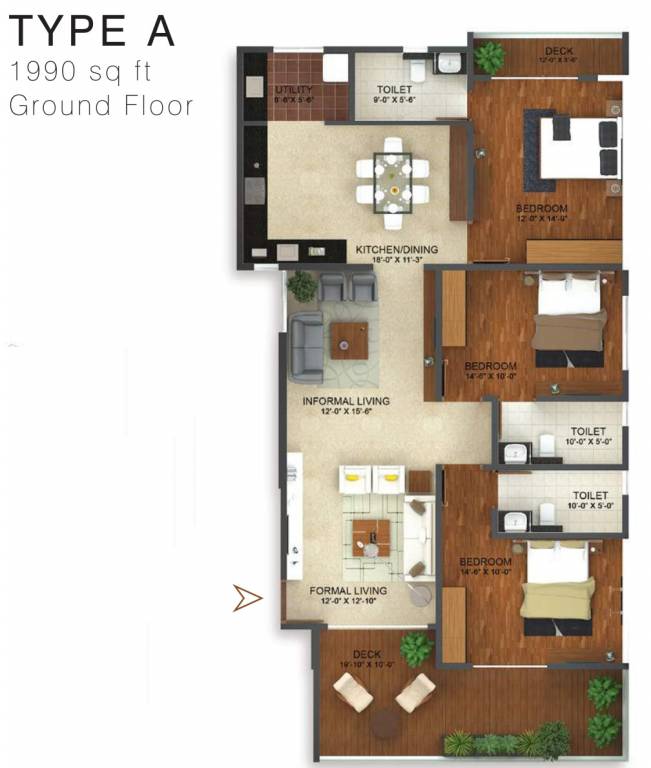 Evantha The Hummingbird