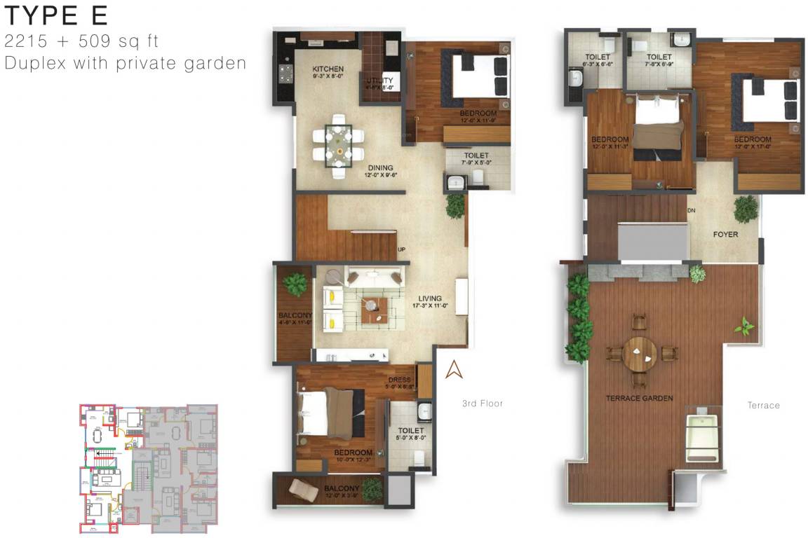 Evantha The Hummingbird