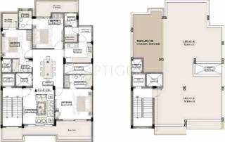 Palms Morning Dew Homes (3BHK+3T (2,662 sq ft) + Servant Room 2662 sq ft) Palms Morning Dew Homes (3BHK+3T (2,662 sq ft) + Servant Room 2662 sq ft)