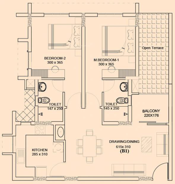 Asset Carol (2BHK+2T (1,045 sq ft) 1045 sq ft)