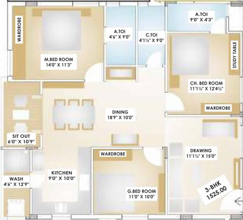 dummy TNR Devendra Rocktown