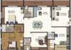 palacia Floor Plan Floor Plan