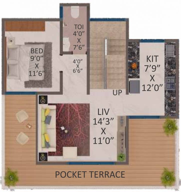 Shantee Spring Field